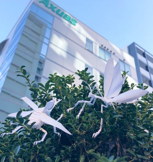 株式会社アクアス SDGｓ宣言のイメージ